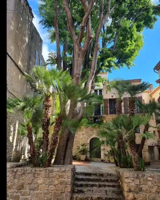 Jardin de l'établissement 06AN - Beautiful apartment in the heart of Old Antibes