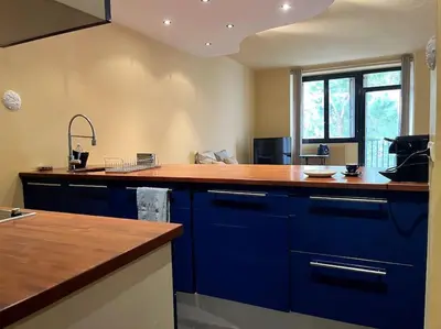 Cuisine ou kitchenette dans l'établissement Cannes Montfleury grand confort
