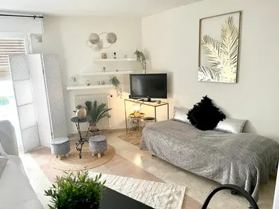 Télévision ou salle de divertissement dans l'établissement Studio charmant au cœur de Cannes avec balcon et parking