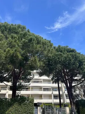 Paysage naturel près de l'appartement
