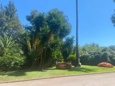 Jardin de l'établissement Mathéo