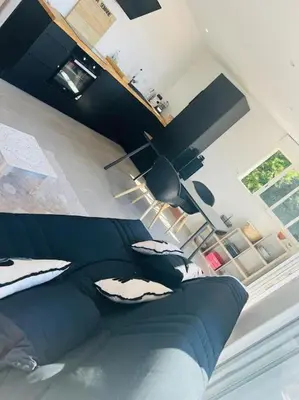 Cuisine ou kitchenette dans l'établissement Antibes appartement