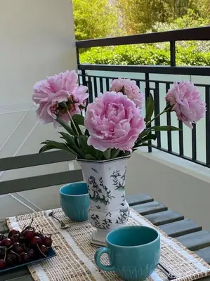 Balcon ou terrasse dans l'établissement Joli studio calme et central