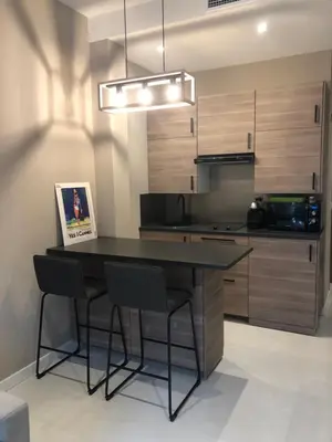 Cuisine ou kitchenette dans l'établissement Boulevard de la croisette PALAIS MIRAMAR