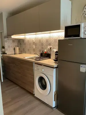 Cuisine ou kitchenette dans l'établissement Luxury One bedroom with garden