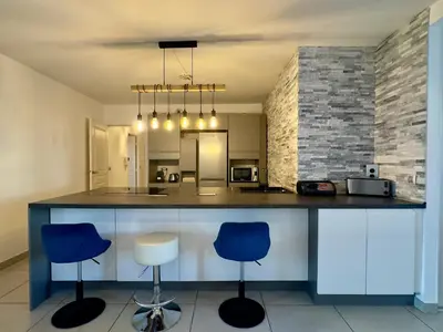 Cuisine ou kitchenette dans l'établissement Cannes Maria SCLS - Wifi, Parking, Spacieux