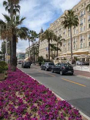 Quartier de l'appartement ou autre quartier proche