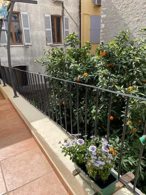 Jardin de l'établissement Appartements climatisés - Vieil Antibes