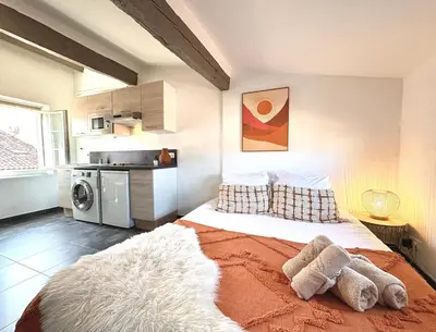 Cuisine ou kitchenette dans l'établissement Appartements climatisés - Vieil Antibes