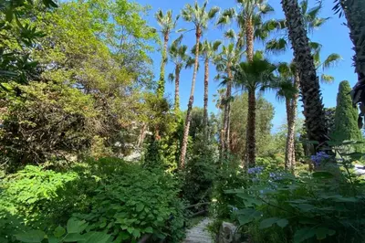 Jardin de l'établissement Confortable offrant une vue imprenable sur la mer
