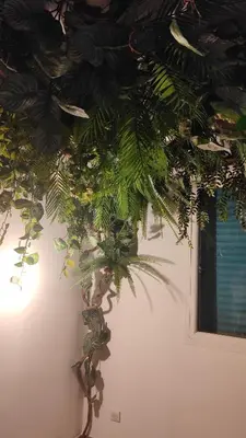 Jardin de l'établissement Jungle Room Jacuzzi Privé Évasion en amoureux