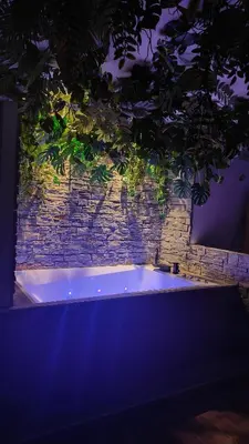 Plan de l'établissement Jungle Room Jacuzzi Privé Évasion en amoureux