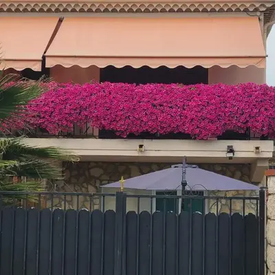 Villa Ange Azur 2