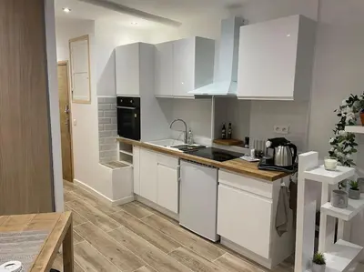 Cuisine ou kitchenette dans l'établissement Antibes : Beau studio en plein centre ville