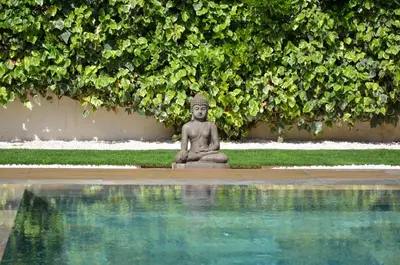 Jardin de l'établissement Capleouna-Villa la Cabane