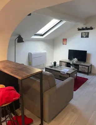 Télévision ou salle de divertissement dans l'établissement Studio Cannes banane