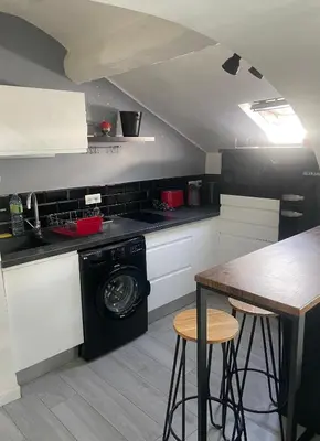 Cuisine ou kitchenette dans l'établissement Studio Cannes banane
