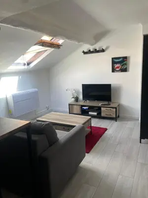 Télévision ou salle de divertissement dans l'établissement Studio Cannes banane