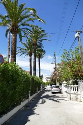 Jardin de l'établissement Yuca