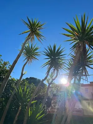 Paysage naturel près de l'appartement