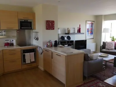 Cuisine ou kitchenette dans l'établissement ALBION - Luxurious 3 bedrooms large terrace parking AC