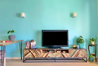 Télévision ou salle de divertissement dans l'établissement Palm Beach apartment