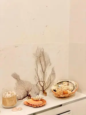 Nourriture dans l'appartement ou à proximité