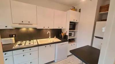 Cuisine ou kitchenette dans l'établissement Charmant T2 de vacances, Antibes
