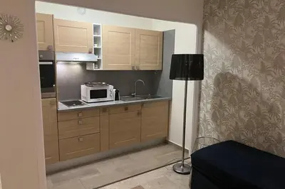 Cuisine ou kitchenette dans l'établissement Cannes Croisette Studio 3 pers Cosy CLIM WIFI PKG