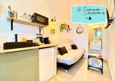 Cuisine ou kitchenette dans l'établissement Mini-Studio Le Cormoran SCLS - Wifi, Clim, Centre Ville