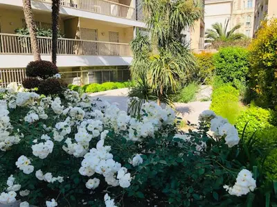 Jardin de l'établissement Studio Cannes Croisette