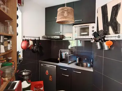 Cuisine ou kitchenette dans l'établissement STUDIO VILLA VIANNEY