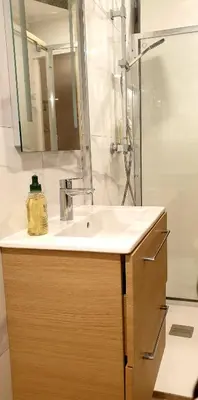 Salle de bains dans l'établissement Magnifique 2 pieces