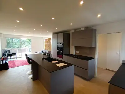 Cuisine ou kitchenette dans l'établissement Le Cèdre Magnifique Appartement à Cannes