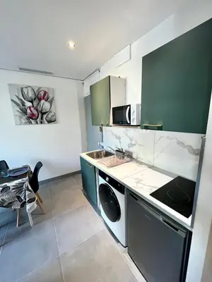 Cuisine ou kitchenette dans l'établissement Appartement 3 pièces GREEN ART ****