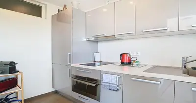 Cuisine ou kitchenette dans l'établissement Le Croisette - 4 pers - Front de mer - 15 min Palais