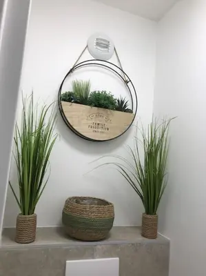 Plan de l'établissement Studio « Oasis Provençale »