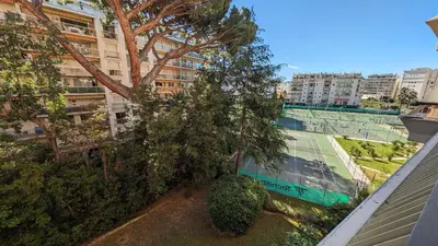 Jardin de l'établissement LACOUR7 Palmes dProperties