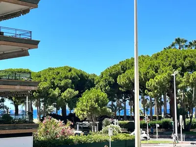 Jardin de l'établissement Cannes Palm Beach