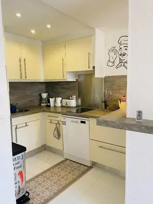 Cuisine ou kitchenette dans l'établissement Studio proche centre FARN4