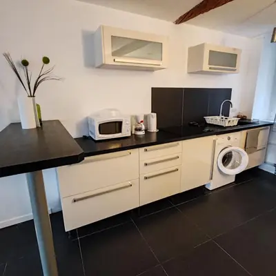 Cuisine ou kitchenette dans l'établissement appart centre historique Picasso