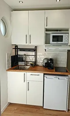 Cuisine ou kitchenette dans l'établissement Studio climatisé refait à neuf