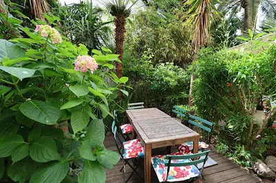 Jardin de l'établissement Les Fleurs
