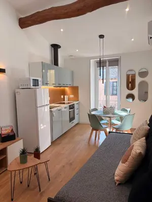 Cuisine ou kitchenette dans l'établissement Charmant appartement au coeur de villeneuve loubet