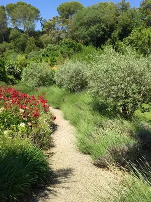 Jardin de l'établissement Villa Pokade climatisée de 235 m2 piscine sans vis à vis grand jardin totalement clos