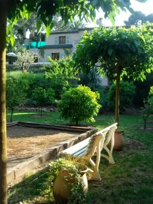 Jardin de l'établissement Villa Pokade climatisée de 235 m2 piscine sans vis à vis grand jardin totalement clos