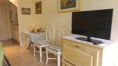Télévision ou salle de divertissement dans l'établissement Gautier Jean