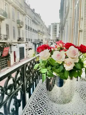 Balcon ou terrasse dans l'établissement en centre ville magnifique pied a terre ran44