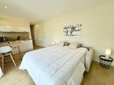 Cuisine ou kitchenette dans l'établissement Le studio Palm Beach, Clim ,Parking, Neuf
