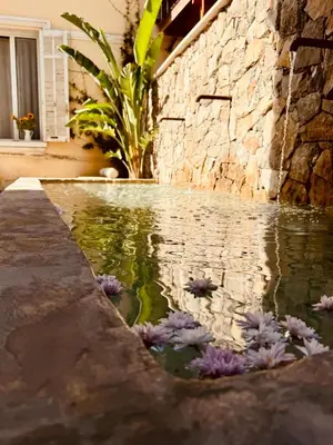 Jardin de l'établissement Maison LYO logement Luxe